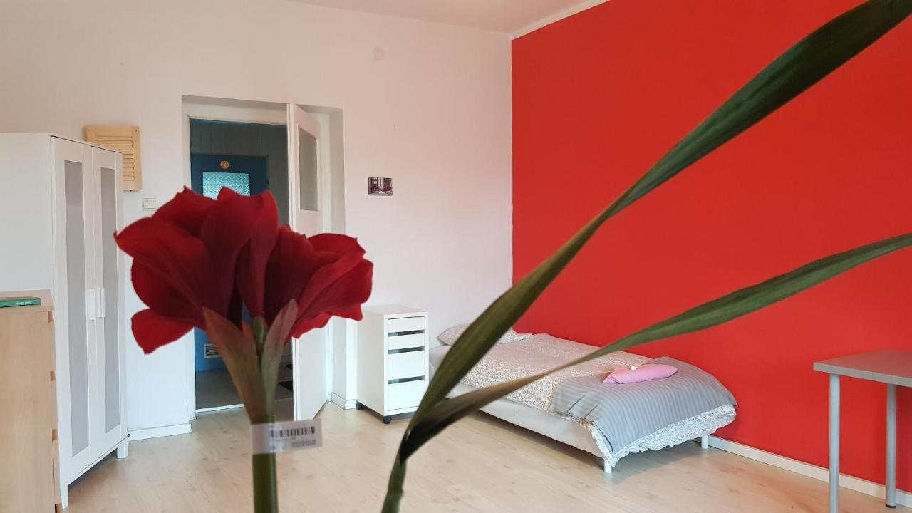 Cozy & Fun Rooms Wojewodzka, Chopina, Damrota Katowice Buitenkant foto